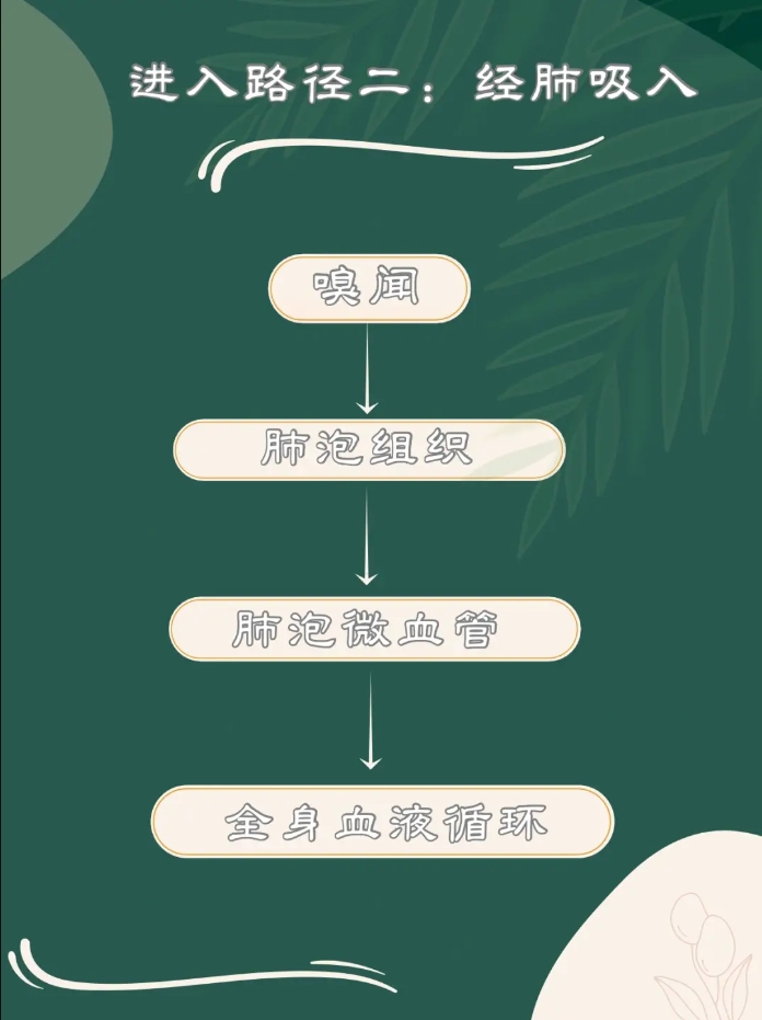 5.png